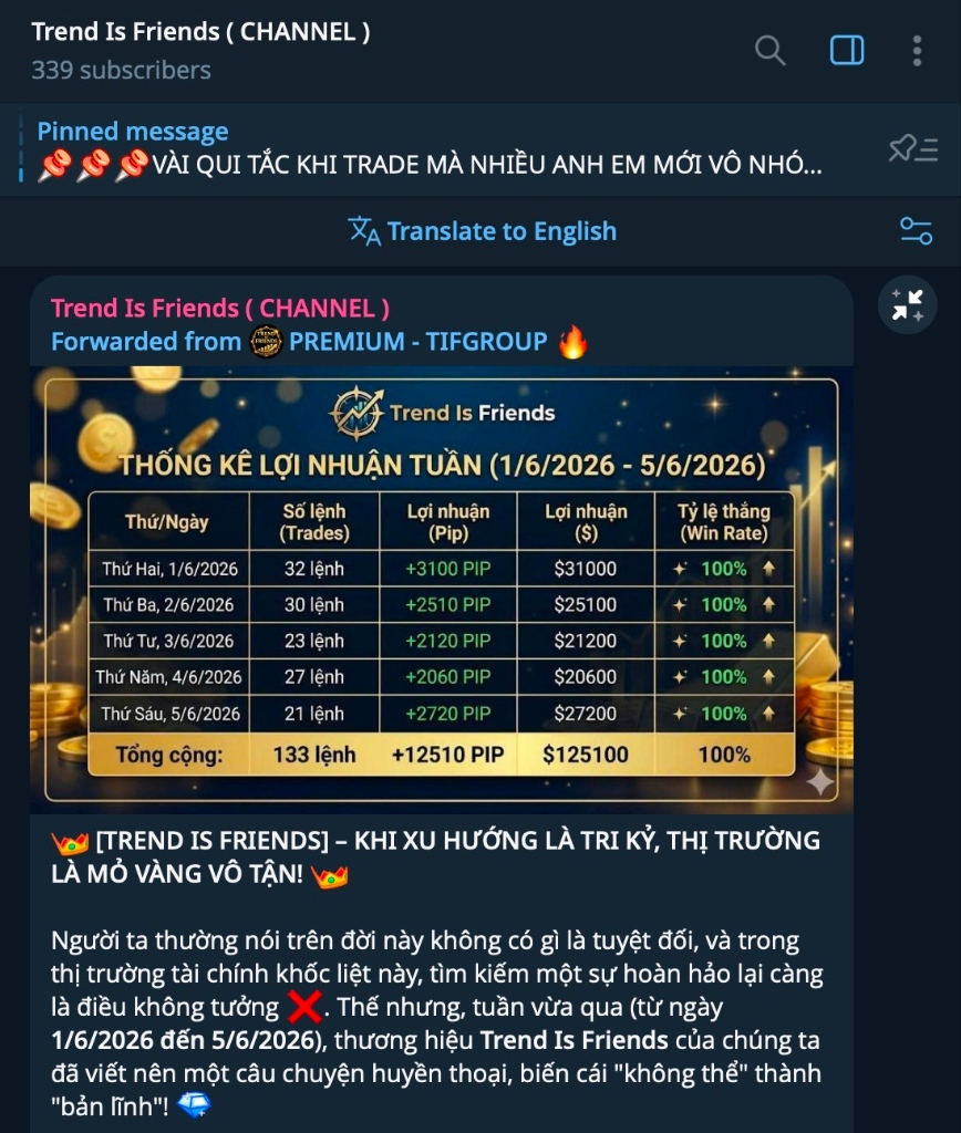 Thống kê lợi nhuận tuần 1/6 – 5/6/2026 – 100% win rate, +12510 PIP